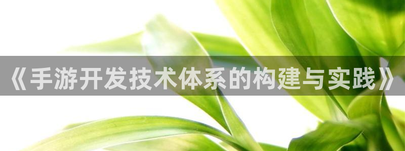 巅峰国际下载：《手游开发技术体系的构建与实践》