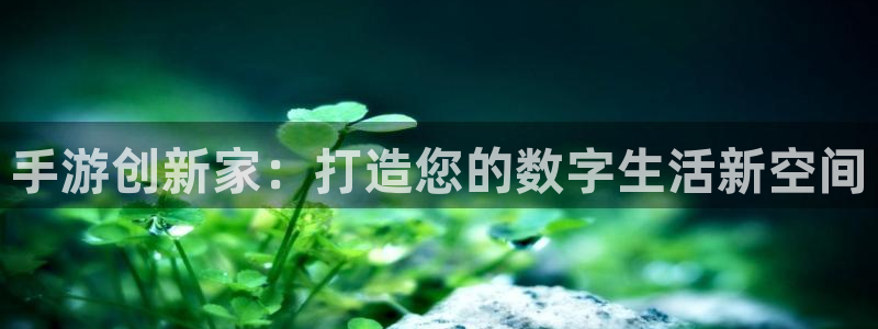 巅峰国际登录：手游创新家：打造您的数字生活新空间