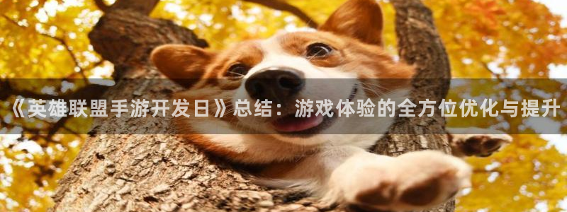 巅峰国际登陆：《英雄联盟手游开发日》总结：游戏体验的全方位优