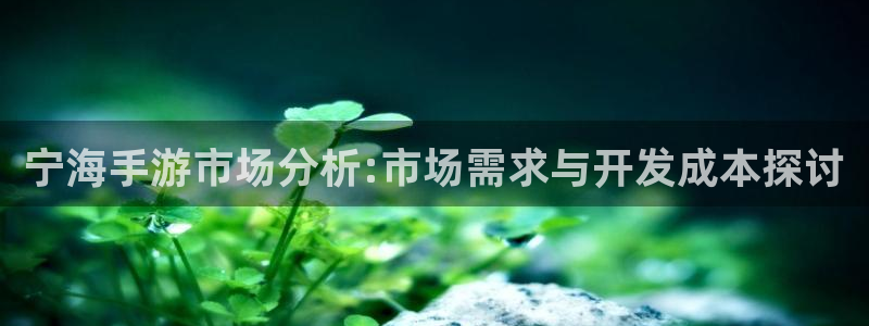 巅峰国际下载：宁海手游市场分析:市场需求与开发成本探讨