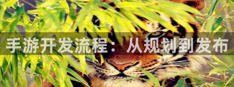 巅峰国际首页