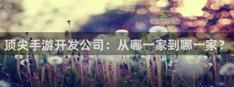 巅峰国际app