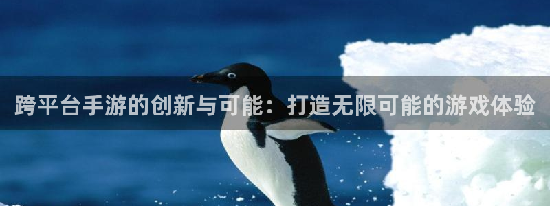 巅峰国际注册：跨平台手游的创新与可能：打造无限可能的游戏体验