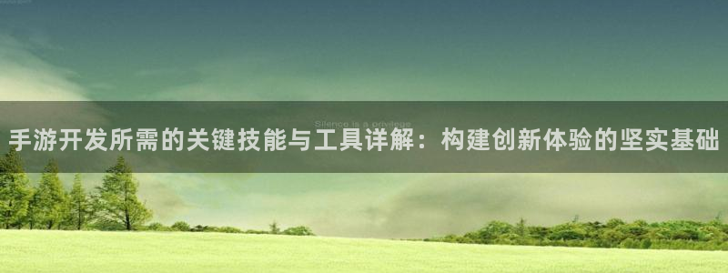 巅峰国际：手游开发所需的关键技能与工具详解：构建创新体验的坚