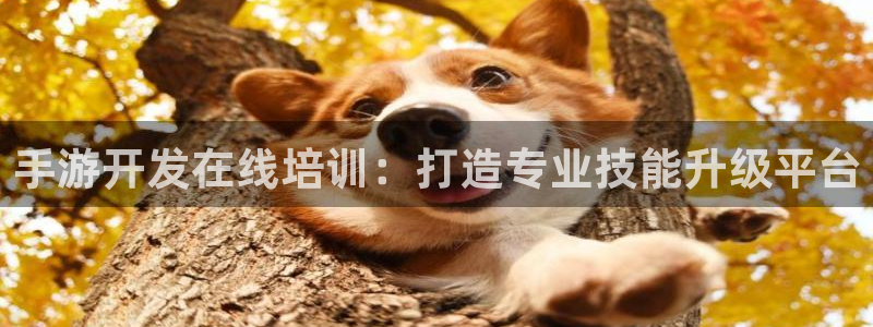 巅峰国际平台：手游开发在线培训：打造专业技能升级平台