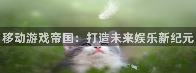 巅峰国际：移动游戏帝国：打造未来娱乐新纪元
