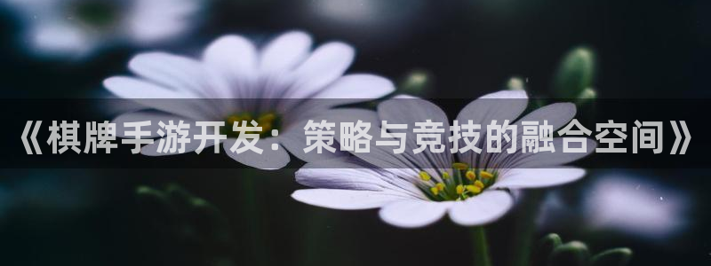 巅峰国际下载：《棋牌手游开发：策略与竞技的融合空间》