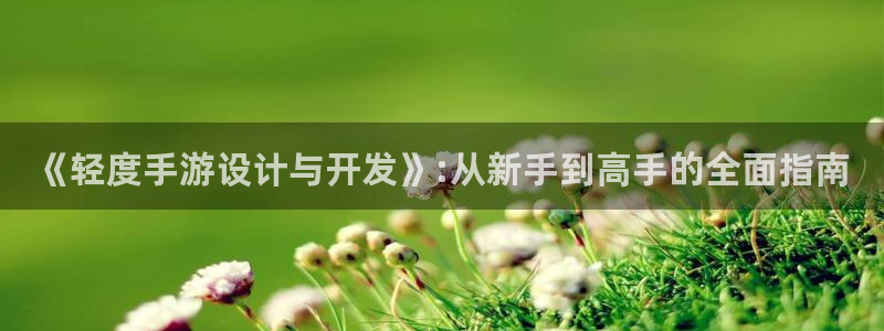 巅峰国际官网：《轻度手游设计与开发》:从新手到高手的全面指南
