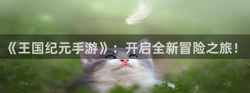 巅峰国际登录：《王国纪元手游》：开启全新冒险之旅！