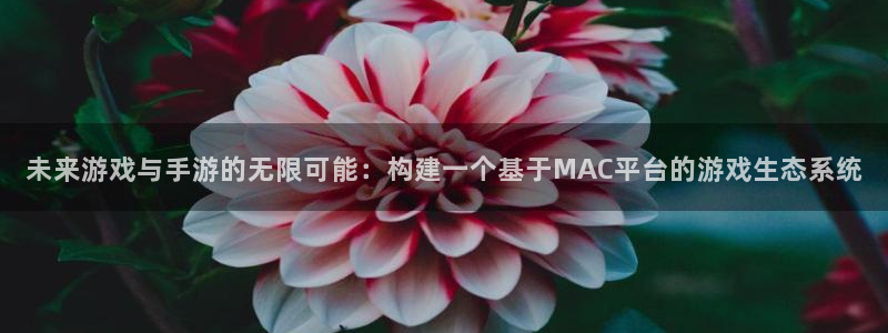 巅峰国际下载：未来游戏与手游的无限可能：构建一个基于MAC平