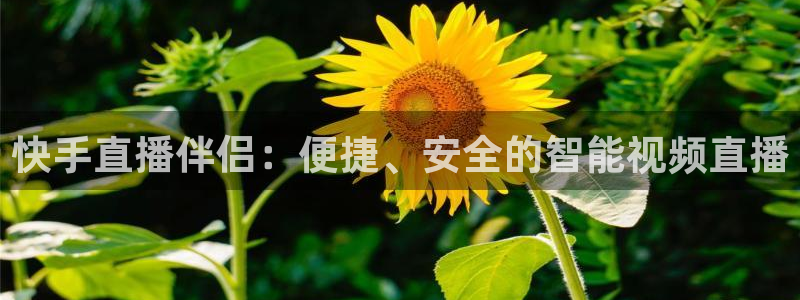 球友体育下载：快手直播伴侣：便捷、安全的智能视频直播