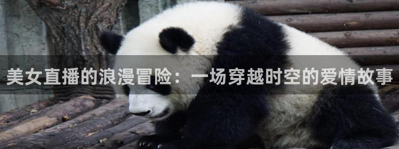 球友直播nba：美女直播的浪漫冒险：一场穿越时空的爱情故事